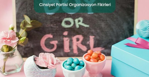 Cinsiyet partisi